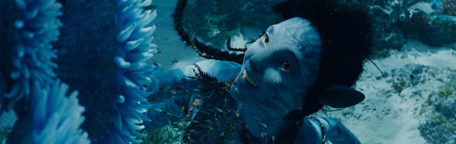 Avatar - La voie de l'eau