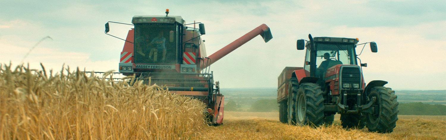 Au nom de la terre